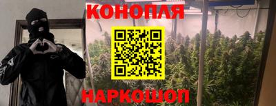 гидропоника Шахты