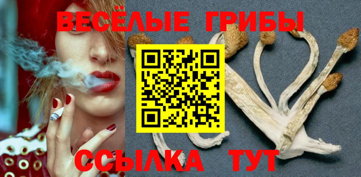 Галлюциногенные грибы Magic Shrooms Бахчисарай