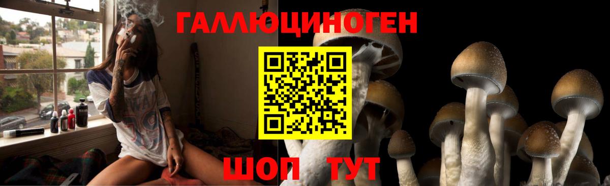 Псилоцибиновые грибы Psilocybine cubensis  Галлюциногенные грибы мухоморы  цены наркотик  Вход с VPN  Бахчисарай 